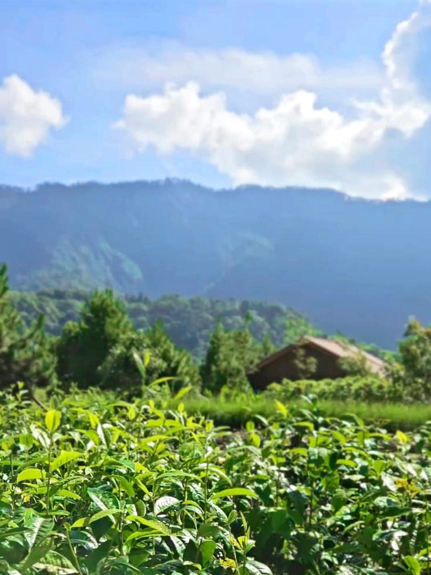 Dusun Bedugul Asri Hotel Екстериор снимка