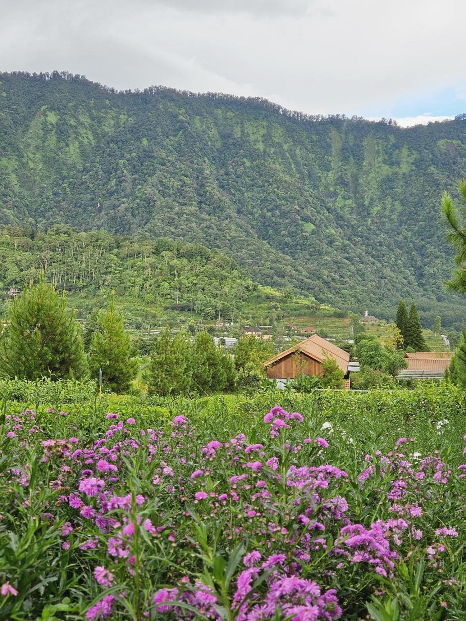 Dusun Bedugul Asri Hotel Екстериор снимка