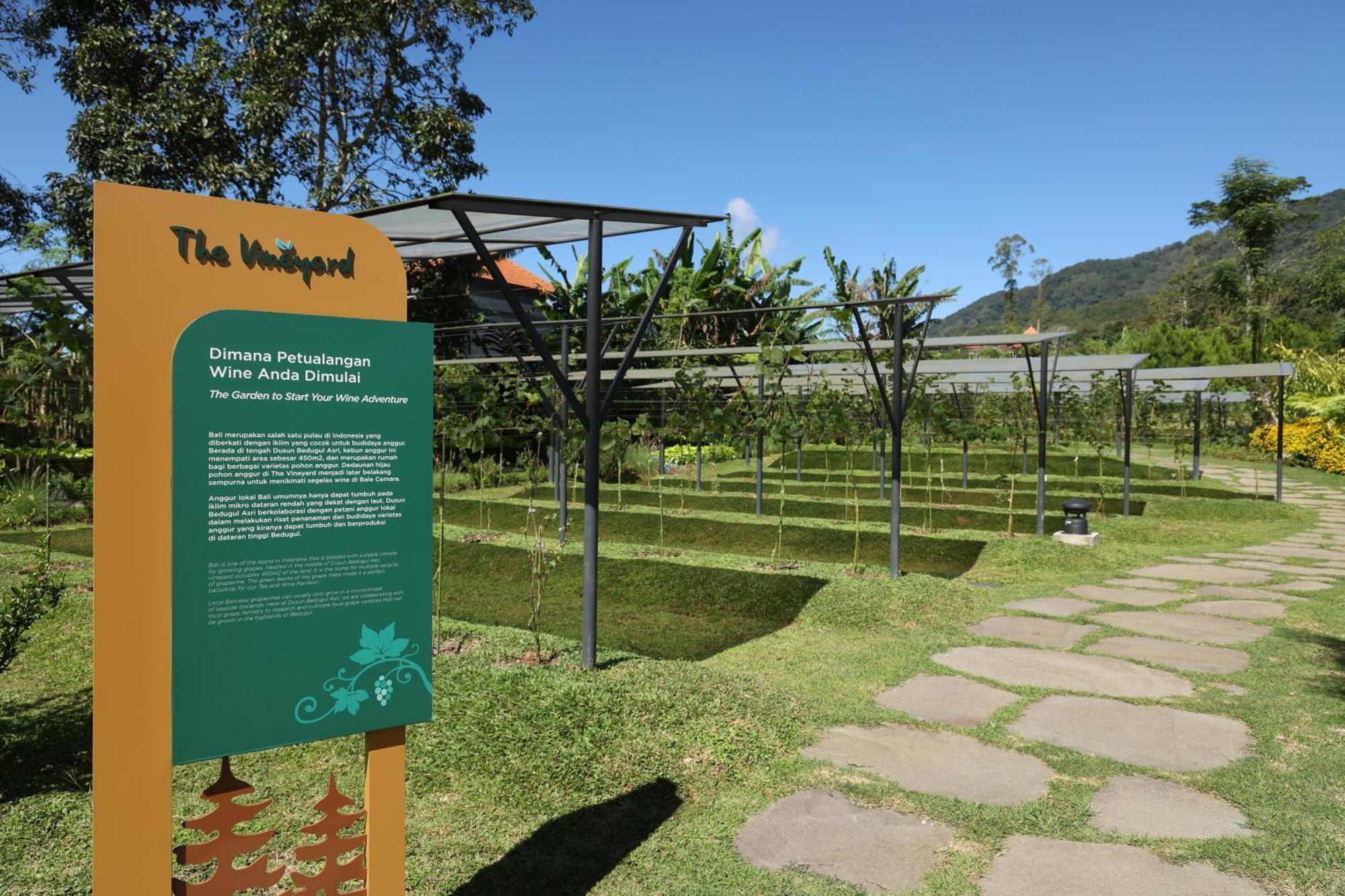 Dusun Bedugul Asri Hotel Екстериор снимка