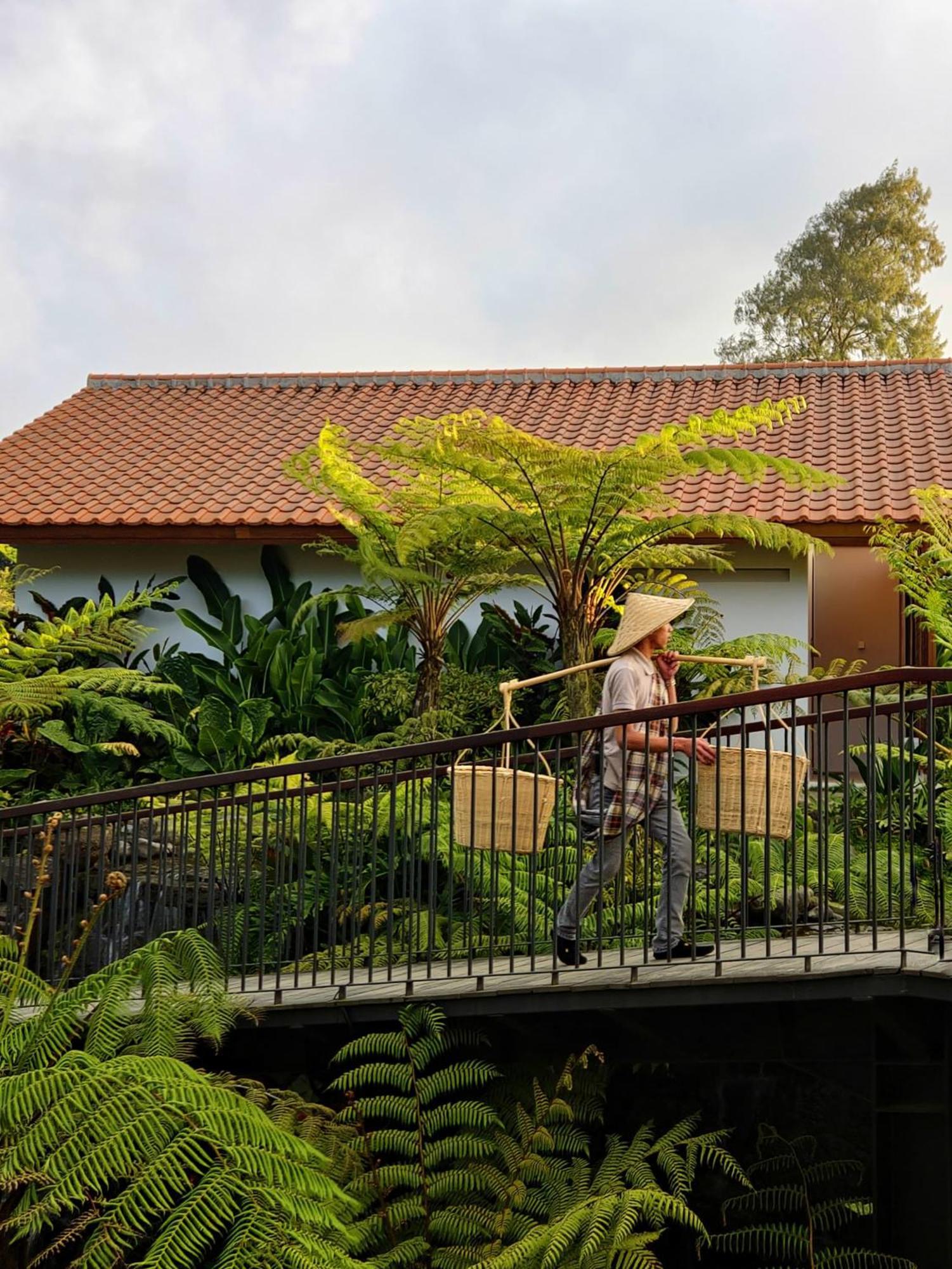 Dusun Bedugul Asri Hotel Екстериор снимка