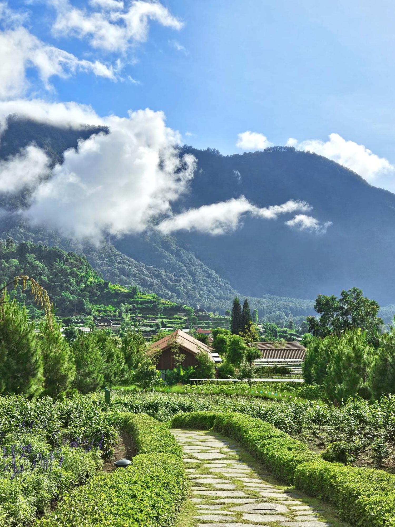 Dusun Bedugul Asri Hotel Екстериор снимка