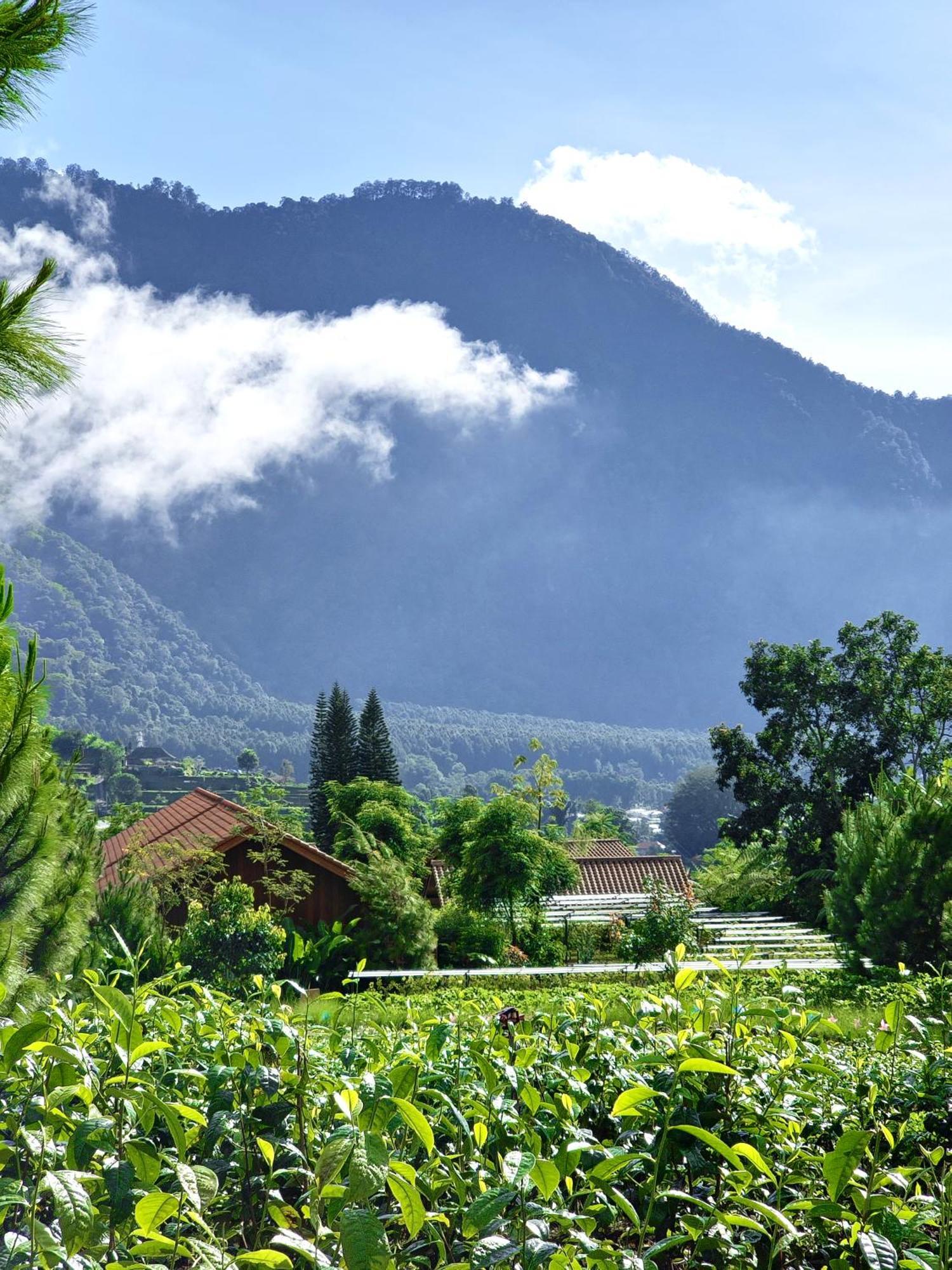 Dusun Bedugul Asri Hotel Екстериор снимка